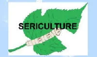 Department of Sericulture